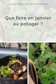 Que Faire En Janvier Au Potager Potager Idee Jardinage Semis