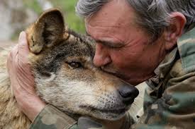 Dynasties is a bbc series narrated by david attenborough portraying the lives of several groups of endangered animals trying to survive their environment in the. How To Be Human The Man Who Was Raised By Wolves Spain The Guardian