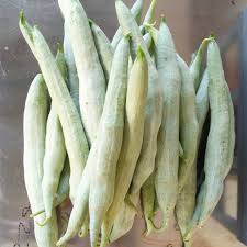 Celestial Organics - Snake gourd.(potlakaya -in Telugu) Sunday harvest 🙏🏼 . . . #celestialorganics #celestial #fruits #veganfood #vegetables #health #covid19 #guava #winter #nutrition #healthy #healthyfood #organicfarming #realfood #diet #happy ...