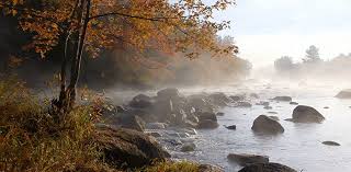It can reduce the animated gif file size by 30%—50% at the cost of some dithering/noise. Adirondacks Natureza Cae Gif Find On Gifer