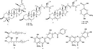 Image result for Anisotes