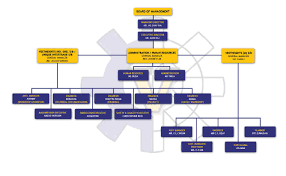 organizational chart vestheights group of companies