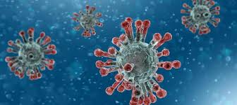 Learn more about coronaviruses here. Forschungsvorhaben Der Universitatsmedizin Leipzig Zu Sars Cov 2 Covid 19