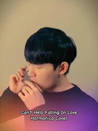 Cant Help Falling in Love Harmonica Chords