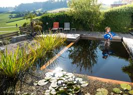 Swimmteich Baden Schwimmen Badezeit Sommer Swimmingpond Swimming Summer Natural Pool Swimming Pond Swimming Pools