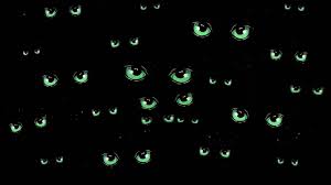 This thin layer is a retroreflector — when a beam of light hits it,. Royalty Vector Stock Set Of Halloween Green Cat Eyes In The Dark Vector Stock Wiki Fandom