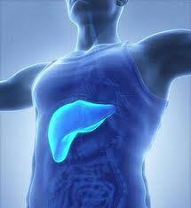 Hepatitis b is an infectious disease caused by the hepatitis b virus (hbv) that affects the liver; Hepatitis Selbst Erkennen