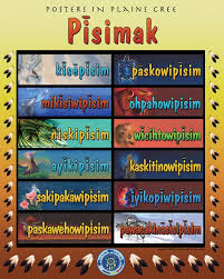 Native Reflections Native American Language Aboriginal Education Indigenous Education