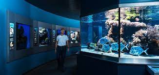 Von faszinierenden unterwasserwelten im aquarium zu außerirdischen erlebnissen in der weltraumhalle, von öffnungszeiten: Haus Der Natur