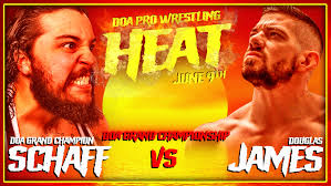 DOA Pro Wrestling