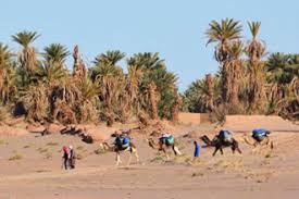 Can some one please explain how to play flames test on paper ? Sahara Camel Trek Morocco Mountain Kingdoms