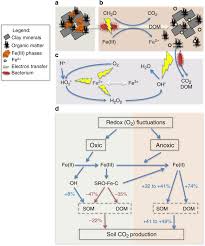 Humidity could be helpful in relieving the symptoms of coronavirus, as well as preventing it from spreading. Iron Mediated Organic Matter Decomposition In Humid Soils Can Counteract Protection Nature Communications