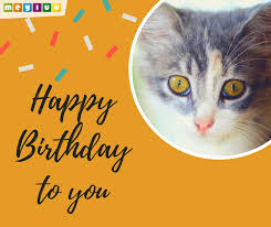 Maybe you would like to learn more about one of these? Geburtstagsbilder Tierisch Meyluu