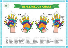 Foot And Hand Reflexology Chart Stock Vector