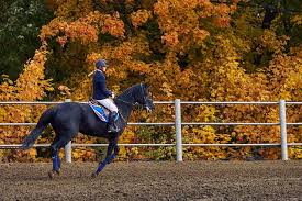 아역배우 출신 승마선수, 불법 촬영물로 전 여친 협박→피소. ì•„ì—­ë°°ìš° ìŠ¹ë§ˆì„ ìˆ˜ êµ¬ì†ì˜ìž¥ ì „ì—¬ì¹œ ë‚˜ì²´ ì‚¬ì§„ ìœ í¬ í˜'ë°• ì•„ì£¼ê²½ì œ