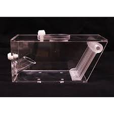 Are there any leeches that are harmful to fish? How To Get Rid Of Leeches In Ponds Quick Safe Treatments Pond Informer