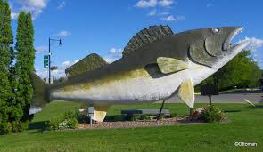 Scopri gli angoli più belli di baudette! Gumbo S Pic Of The Day August 13 2015 Willie Walleye Baudette Minnesota Travelgumbo