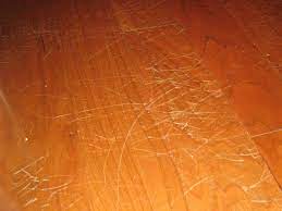 It's just the nature of wood. Do Pets Ruin Your Hardwood Floors Mn Pets And Wood Floors