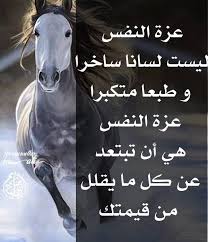 عزة النفس عز نفسك يعزك الله Words Jokes Animals
