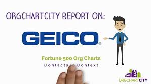 Geico Org Charts Video By Orgchartcity Youtube