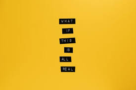 We did not find results for: 100 000 Best Yellow Background Photos 100 Free Download Pexels Stock Photos