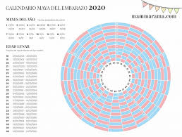 Pin En Embarazo Cuidados