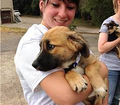 Eagan adoption day on august 14, 2021 11:00 am. Secondhand Hounds