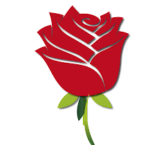Apakah anda mencari gambar transparan logo, kaligrafi, siluet di taman mawar, pantai naik, kartun? Paling Bagus 17 Gratis Grafik Gambar Bunga Mawar Animasi Temukan Gambar Mawar Merah Gratis Untuk K Rose Flower Png Hd Flower Wallpaper Rose Flower Wallpaper