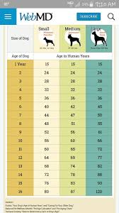 Dog Aging Chart Dogs Dog Age Chart Dog Ages