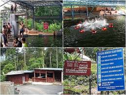 Antara aktiviti yang paling menarik anda boleh didapati di sini ialah menyusuri pantai dengan menaiki bot, mendaki tangga ke rumah api dengan menikmati panorama pantai, melawat pelbagai spesis penyu di pantai. 59 Tempat Menarik Di Negeri Sembilan 2021 Jom Bercuti Ke Negeri Beradat