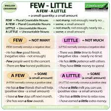 Much Many A Little A Few A Lot Of Little A Little Few A Few Difference English Grammar English Grammar Rules Woodward English
