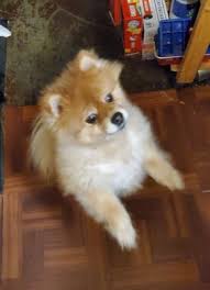 We did not find results for: City Pets Animal Care 1016 Jefferson St Nashville Tn Veterinarians Mapquest