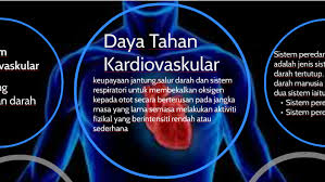 Adapun daya tahan tubuh menjadi lemah bisa dikarenakan oleh berbagai sebab, seperti stres, jarang berolahraga, kurang tidur, dehidrasi, dan apabila anda ingin memperoleh daya tahan tubuh yang kuat, kami sarankan anda untuk memulai konsumsi vitamin untuk meningkatkan daya tahan tubuh. Daya Tahan Kardiovaskular By Fara Rosdi