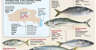 Malaysia Won T Be Supplying Five Types Of Fish For Two Months Jessica Lim Straits Times 17 Jul 13 Singapore Fish Importers Ar Fish Types Of Fish Straits Times