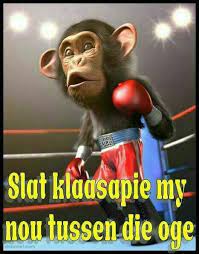 Pin By Stella Bakkes On Afrikaans Monkey Art Funny Art Cinema 4d