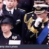 How 'frightened' elizabeth finally accepted king's proposal www.express.co.uk. Https Encrypted Tbn0 Gstatic Com Images Q Tbn And9gcsau Bvzgkkokxpr2kb2vrozwzqo88v7jmavffetyq3dxslddsg Usqp Cau
