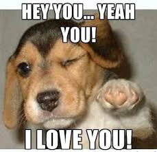 Funny I Love U Memes
