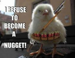 No Nugget Not Today Funny Animals Funny Animal Pictures Chicken Humor