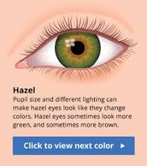 The Human Eye Color Chart Eye Color Chart Hazel Eyes Hazel Green Eyes