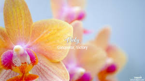 Vicky 3d Name Wallpaper For Mobile Write Name On Photo Online Wallpapers tagged with this tag. vicky 3d name wallpaper for mobile