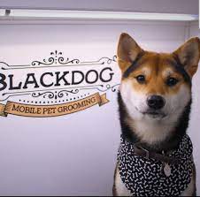 When you want the perfect place to bring your pet for grooming, pet grooming by audrey. Blackdog Mobile Pet Grooming 41 Recommendations Omaha Ne