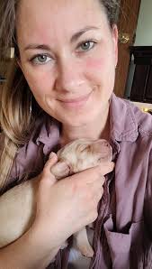 Book review of The Eight Minute Flight