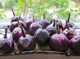 We did not find results for: Sicilian Eggplant Stuffed With Meat Or Vegetables Jittery Cook