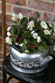 My Diy Tea Kettle Flower Pots Make The Neighbors Jealous In 2020 Plant Pot Decoration Flower Pots Tea Diy