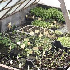 We did not find results for: Les Semis De Legumes A L Interieur Et Sous Abris Ferme De Sainte Marthe