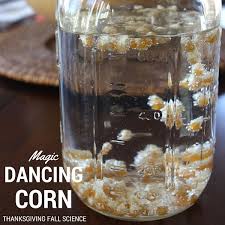 Magical Fall Science With Easy To Set Up Dancing Corn Fall Science Science For Kids Thanksgiving Preschool