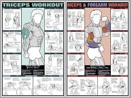 Arm Workout Instructional 2 Poster Professional Fitness Wall