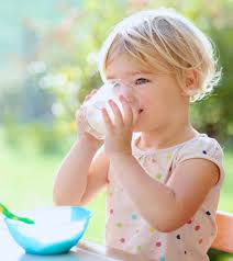 We did not find results for: Top 10 Food For 18 Month Old