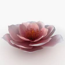 3d Model Flower Pink Petal Nature Tet New Year Asia Apricot Peach Plant Blossom Spring Leaf 3d Model 3dmodel 3d Model Flowers Model