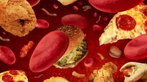 We did not find results for: What Is Cholesterol Plus How To Reduce Cholesterol Naturally Coach